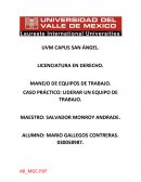 CASO PRÁCTICO: LIDERAR UN EQUIPO DE TRABAJO