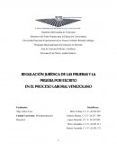 Las pruebas en el proceso laboral venezolano