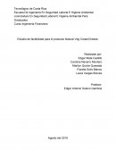 Estudio de factibilidad para el producto Natural Veg CreamCheese