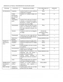 ANÁLISIS DE LA PELÍCULA “ERIN BROCKOVICH UNA MUJER AUDAZ”