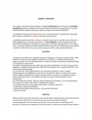 Pension y jubilacion en Colombia