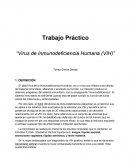 Trabajo Práctico “Virus de Inmunodeficiencia Humana (VIH)”