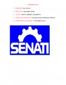 CULTURA DE LA CALIDAD Y LAS 5s