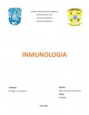 INMUNOLOGIA la IL-1