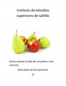 Como extraer el adn de una pera o una manzana