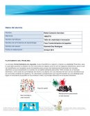 Caso Comercializadora de juguetes