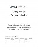 Desarrollo emprendedor. 5 posibles ideas de Negocios