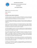 Ensayo sobre un ejemplo de alimento transgénico