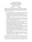 Organización y cambio social en la América española colonial
