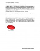 PORQUE LOS GLOBULOS ROJOS DEL SER HUMANO SON BICONCAVOS