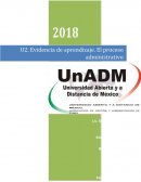 Shampoo “ikhanda”