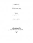Investigación-accion pedagogia infantil
