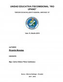 Desconocimiento del programa FL Studio