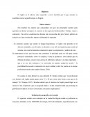 El inglés es el idioma más requerido a nivel mundial por lo que amerita su enseñanza como segunda lengua en Bogotá