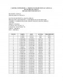 CARTERA TOPOGRÁFICA – PROYECTO TRAMO DE PLACA HUELLA