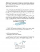 Física. Los fluidos
