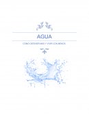 Agua, cómo obtener más y vivir con menos