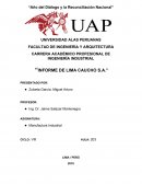 “INFORME DE LIMA CAUCHO S.A.”