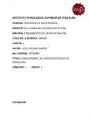 ENSAYO SOBRE LAS DISTINTAS TECNICAS DE REDACCIÓN