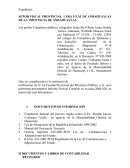 Peritaje municipal peru