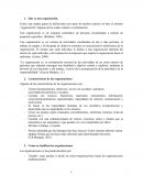 Que es una organización. Características de las organizaciones