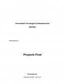Mercadotecnia I Proyecto Final