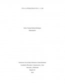 ENSAYO VIVA LA PUBLICIDAD, VIVA