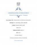 La Filosofía de la Educación en Roma y en la Edad Media