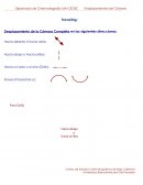 Desplazamiento de la Cámara Completa en las siguientes direcciones