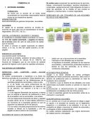 COMERCIAL. Sociedad Anónima