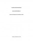 Caso breve Empresa de Consultoria en Chile