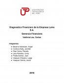 Diagnostico Financiero de la Empresa Laive S.A.