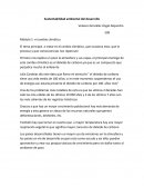 Sustentabilidad ambiental del desarrollo