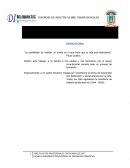 Plan de prácticas profesionales docentes