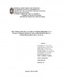 RECUPERACIÓN DE LAS ÁREAS VERDES DIRIGIDO A LA PLAZA “VIRGEN INMACULADA CONCEPCIÓN” DE LA COMUNIDAD MESA DE CAVACAS