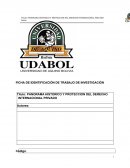 PANORAMA HISTORICO Y PROTECCION DEL DERECHO INTERNACIONAL PRIVADO