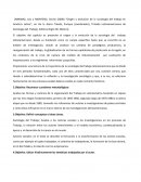 Origen y evolucion de la sociologia del trabajo