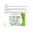 Microorganismos en la agricultura