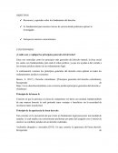 CUESTIONARIO ¿Cuáles son y expliqué los principios generales del derecho?
