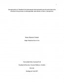 ENSAYO DDHH PERSONAS EN DISCAPACIDAD EN COLOMBIA