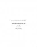 Conversiones en el Sistema Internacional de Medida