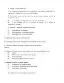 ¿Qué es el medio ambiente?