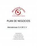 PLAN DE NEGOCIOS Manzabrosas S.A DE C.V