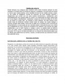 NATURALEZA JURÍDICA DE LA TEORÍA DEL DELITO