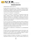 ÓRGANO EJECUTIVO