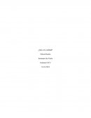 Alcalde de Rengo conforme tras formalización de sujeto que agredió a hincha en Estadio Municipal