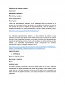Obtención del carbón activado