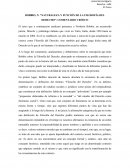 Naturaleza y función de la filosofía del derecho: comentario crítico