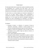 Control interno. Sus objetivos