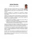 Curriculum vitae para seguros